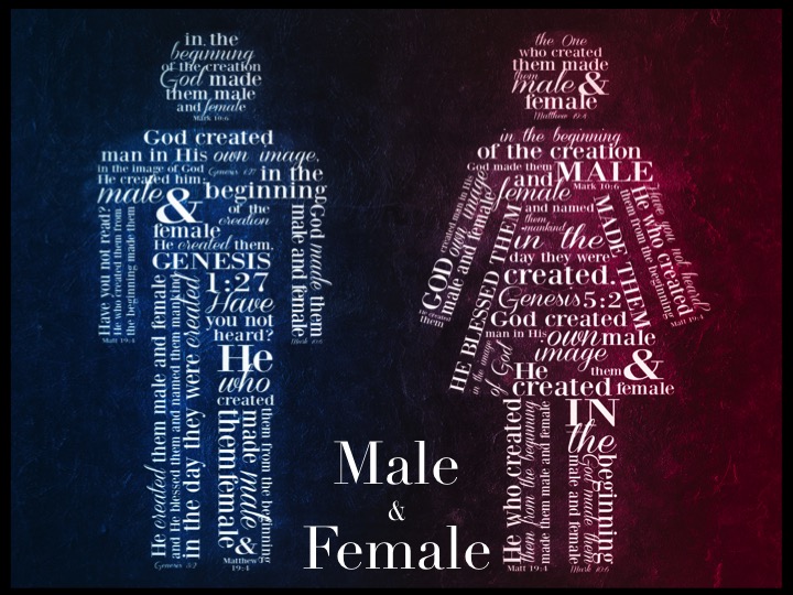 "Gender" Is Actually Not Even Real